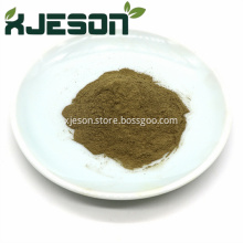 Natural Rosemary Extract Rosmarinic Acid 98% Powder